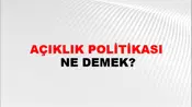 Açıklık Politikası