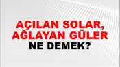 Açılan Solar, Ağlayan Güler
