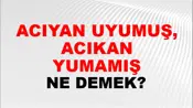 Acıyan Uyumuş, Acıkan Uyumamış