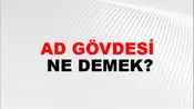 Ad Gövdesi