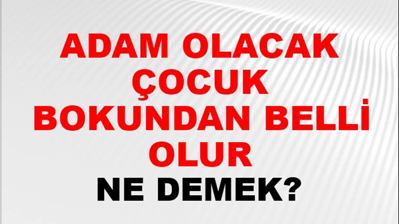 Adam Olacak Çocuk Bokundan Belli Olur Adam Olacak Çocuk Bokundan Belli Olur