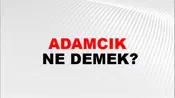 Adamcık