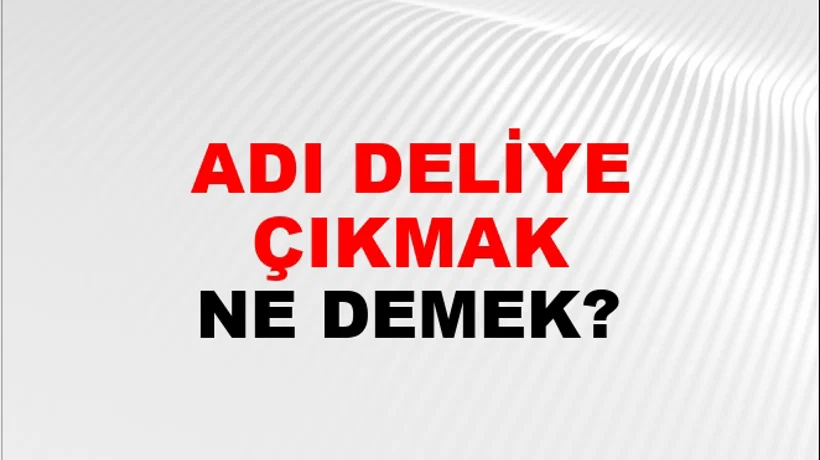 Adı Deliye Çıkmak Adı Deliye Çıkmak