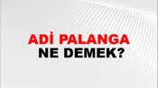 Adi Palanga