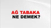 Ağ Tabaka