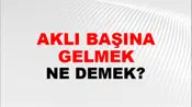 Aklı Başına Gelmek