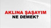 Aklına Şaşayım (Veya şaşarım)