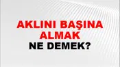 Aklını Başına Almak (Veya toplamak veya devşirmek)