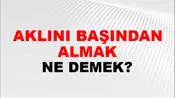 Aklını Başından Almak