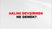 Aklını Devşirmek