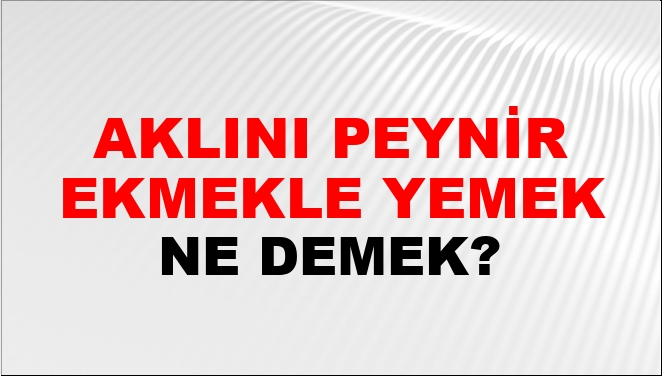 Aklını Peynir Ekmekle Yemek Aklını Peynir Ekmekle Yemek