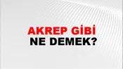Akrep Gibi