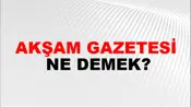 Akşam Gazetesi