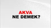 Akva