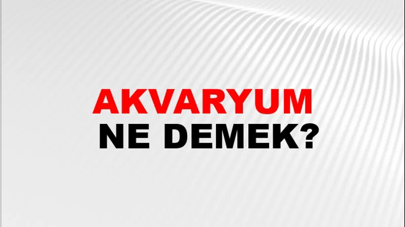 Akvaryum Akvaryum