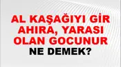 Al Kaşağıyı Gir Ahıra, Yarası Olan Gocunur (Veya gocunsun)