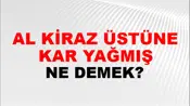 Al Kiraz Üstüne Kar Yağmış