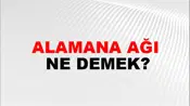 Alamana Ağı