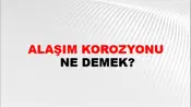 Alaşım Korozyonu
