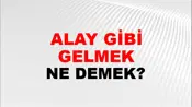 Alay Gibi Gelmek
