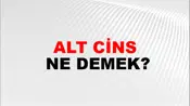 Alt Cins