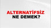 Alternatifsiz