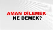 Aman Dilemek