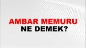 Ambar Memuru