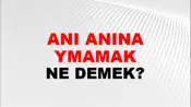 Anı Anına Uymamak