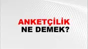 Anketçilik
