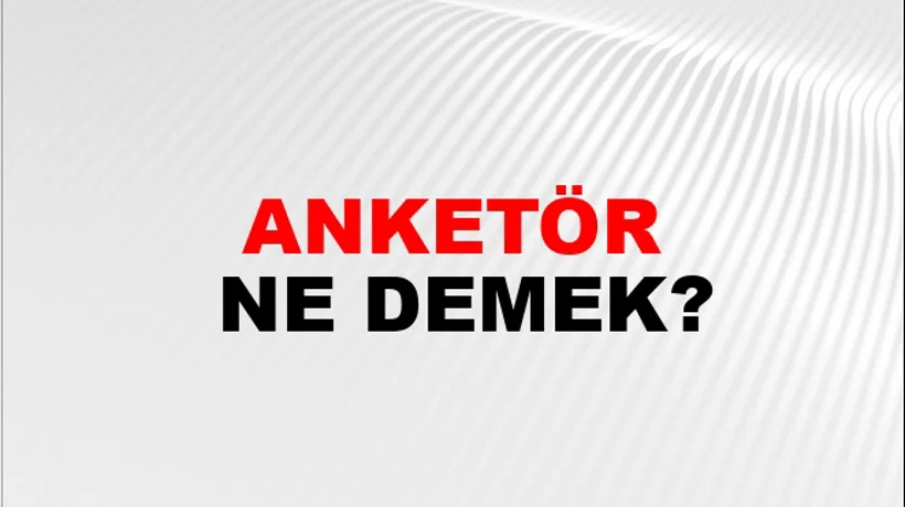 Anketör Anketör