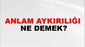 Anlam Aykırılığı