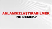Anlamsızlaştırabilmek