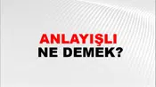 Anlayışlı