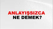 Anlayışsızca