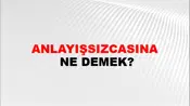 Anlayışsızcasına