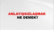 Anlayışsızlaşmak