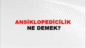 Ansiklopedicilik