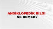 Ansiklopedik Bilgi