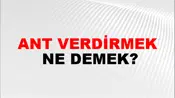 Ant Verdirmek