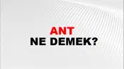 Ant