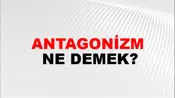 Antagonizm