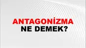 Antagonizma