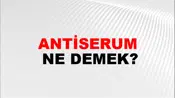 Antiserum