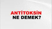 Antitoksin