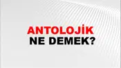 Antolojik