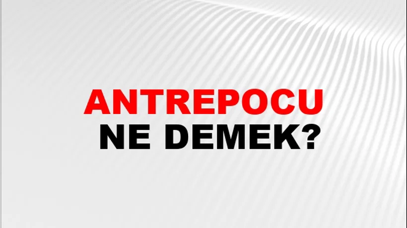 Antrepocu Antrepocu