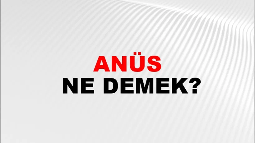 Anüs Anüs