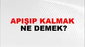 Apışıp Kalmak
