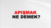 Apışmak